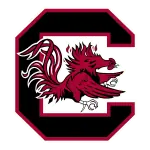South Carolina Gamecocks